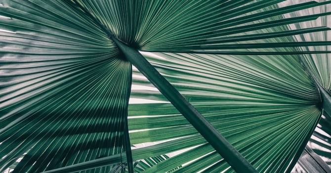 Health & Lifestyle Coaching